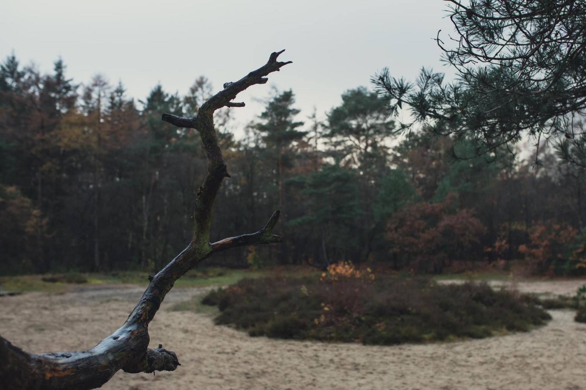 Drents Genieten - Kraaiheide Met Prive Jacuzzi Erm ภายนอก รูปภาพ
